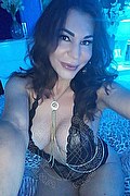 Pesaro Trans Escort Claudia B. 342 57 25 367 foto selfie 5