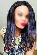 Dolo Trans Escort Kimm Superstar 371 64 64 232 foto selfie 14