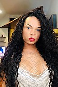 Genova Trans Escort Barbie Dior 347 28 25 420 foto selfie 204