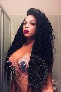 Piacenza Trans Escort Barbie Dior 347 28 25 420 foto selfie 183