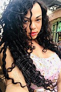 Piacenza Trans Dior 347 28 25 420 foto selfie 117