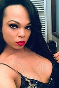 Firenze Trans Escort Dior 347 28 25 420 foto selfie 168