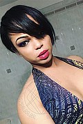 Genova Trans Escort Barbie Dior 347 28 25 420 foto selfie 154