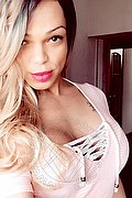 Piacenza Trans Escort Barbie Dior 347 28 25 420 foto selfie 36