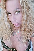 Hannover Trans Escort Barby Piel Morena Latina  004917676460548 foto selfie 4