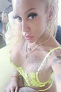 Hannover Trans Escort Barby Piel Morena Latina  004917676460548 foto selfie 1