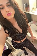 Bologna Trav Escort Victoria New 339 43 37 857 foto selfie 40