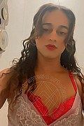 Bologna Trav Escort Victoria New 339 43 37 857 foto selfie 34