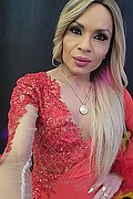 Pisa Trans Escort Sexy Erica 350 99 17 381 foto selfie 23