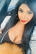 Rovigo Trans Ariadna 388 75 19 396 foto selfie 17