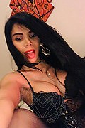 Legnano Trans Escort Ariadna 388 75 19 396 foto selfie 25