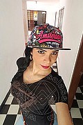 Licola Trans Ariadna 388 75 19 396 foto selfie 35