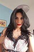 Olbia Trans Ariadna 388 75 19 396 foto selfie 40