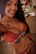 Santa Marinella Trans Sexy Venere Nera 328 32 86 338 foto selfie 24