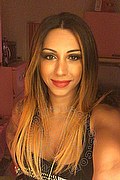 Bologna Trans Bellissima Miss Dea 345 43 08 919 foto selfie 16