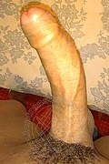 Crotone Trans Escort Nina Tramontyna 334 72 44 815 foto selfie 88