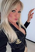 Villorba Trans Escort Pamy La Diva Stellare 324 78 19 703 foto selfie 164