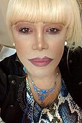 Milano Trans Escort Nicole Vip Venturiny 353 35 38 868 foto selfie 671