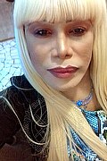 Milano Trans Escort Nicole Vip Venturiny 353 35 38 868 foto selfie 666