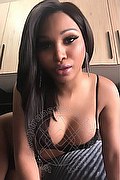 Perugia Trans Escort Vanessa Nocciola 339 28 80 056 foto selfie 8