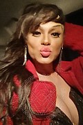 Casarsa Della Delizia Trans Escort Nicole Marques Pornostar 329 10 51 481 foto selfie 17