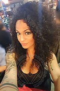 Alessandria Trans Escort Serena 327 13 09 016 foto selfie 18