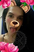 Rovigo Trans Escort Ella 347 73 91 436 foto selfie 14