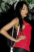 Alessandria Trans Desirre 392 28 32 689 foto selfie 20
