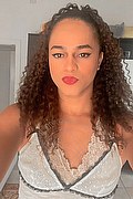 Bologna Trav Escort Victoria New 339 43 37 857 foto selfie 30