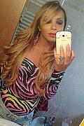 Bergamo Trans Escort Haycka Pornostar 393 11 91 544 foto selfie 28