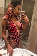 Bergamo Trans Haycka Pornostar 393 11 91 544 foto selfie 11