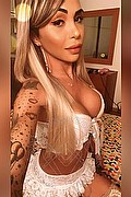 Bergamo Trans Escort Haycka Pornostar 393 11 91 544 foto selfie 9
