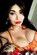 Brescia Trans Escort Kettley Lovato 376 13 62 288 foto selfie 72