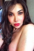 Brescia Trans Escort Kettley Lovato 376 13 62 288 foto selfie 36