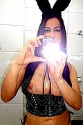 Cerea Trans Escort Renata Dotata 366 90 74 656 foto selfie 50
