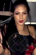 Civitanova Marche Trans Escort Vivi Portinari 350 99 91 980 foto selfie 22