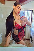 Genova Trans Kim Tifany 380 38 38 161 foto selfie 5