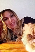Pescara Trans Escort Sashy K 334 32 11 292 foto selfie 14