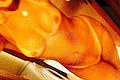 Quarto D'altino Trans Escort Roberta Kelly 331 54 00 919 foto selfie 478