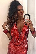 Roma Trans Paula Xxl  005511993416077 foto selfie 68