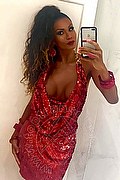 Roma Trans Paula Xxl  005511993416077 foto selfie 67