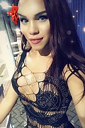 Vicenza Trans Yara Gold 329 30 87 189 foto selfie 18