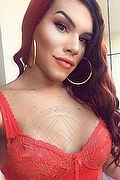 Vicenza Trans Escort Yara Gold 329 30 87 189 foto selfie 24