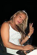 Rescaldina Trans Escort Nikol 328 37 34 891 foto selfie 29