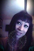 Rovigo Trans Escort Maia Thai 388 95 58 347 foto selfie 4