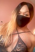 Novara Trans Electra Dior 345 22 07 459 foto selfie 98