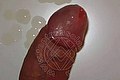 Salvador Bahia - Viareggio Trans Isabella Tx  005581981823724 foto selfie 18