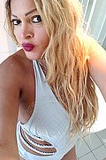 Viareggio Trans Escort Isabella Tx 333 16 78 031 foto selfie 6