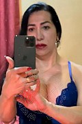 Ferrara Trans Antonella Sexy 371 43 86 814 foto selfie 1