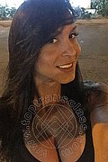 Catanzaro Trans Anna Hickhiman Pornostar 320 01 28 239 foto selfie 8